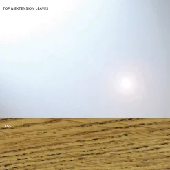 Viadurini Living Ausziehbare Esstische-Ausziehbarer Esstisch bis 280 cm aus Glas, hergestellt in Italien – Antimo