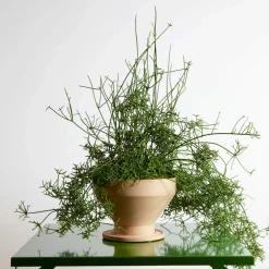 Viadurini in the Garden Deko Vasen-Design Blumenvase aus Terrakotta mit Untertasse Made in Italy - Ettie