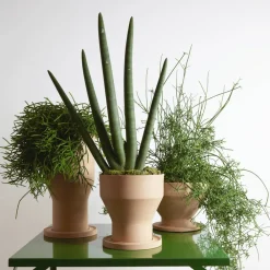 Viadurini in the Garden Deko Vasen-Design Blumenvase aus Terrakotta mit Untertasse Made in Italy - Ettie