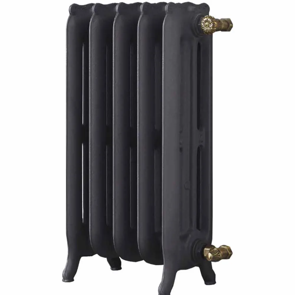 Viadurini Radiators Heizkörper-Design Kühler 5 glatte Elemente aus Gusseisen vom Boden bis 914 W - Barock