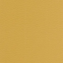 Viadurini Living Moderne Stühle-Eleganter moderner Designstuhl aus farbigem Kunstleder für das Wohnzimmer - Grenger