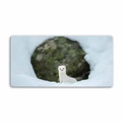 Viadurini Radiators Heizkörper Elektrisch-Infarot Glasheizung Foto Jonny Modell