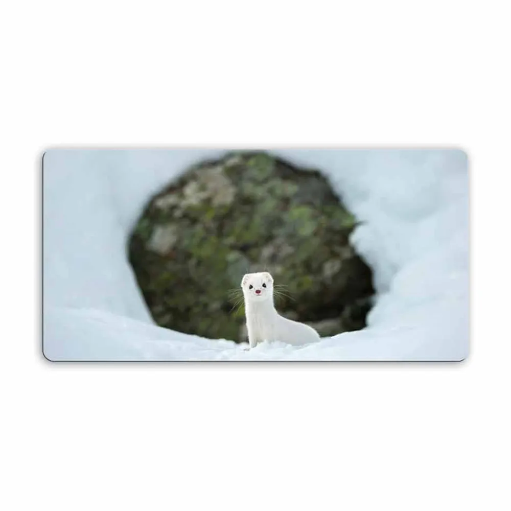 Viadurini Radiators Heizkörper Elektrisch-Infarot Glasheizung Foto Jonny Modell