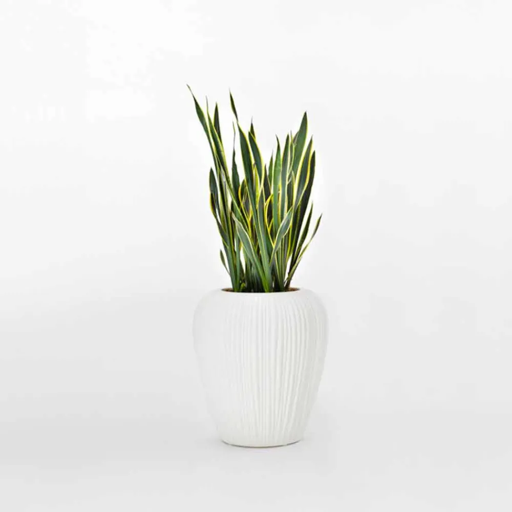 Myyour Gartenideen-Innen- oder Außendekoration Vase aus Polyethylen 2 Stück - Haut von