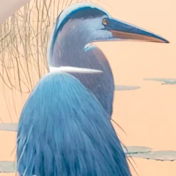 Viadurini Decor Blumen Bilder-Komposition aus Holzgemälden mit Vogeldruck, hergestellt in Italien – Belize