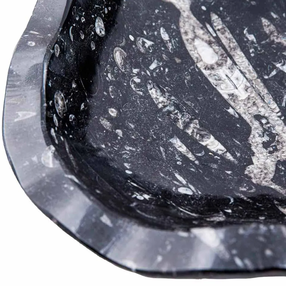 Viadurini Bathroom Steinwaschbecken-Modernes Waschbecken aus Marmor mit Fossilien - Burgeo