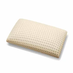 PROGETTO NOTTE Kopfkissen-Pillow Speicher Zone 5. Kissen mit Aloe Vera