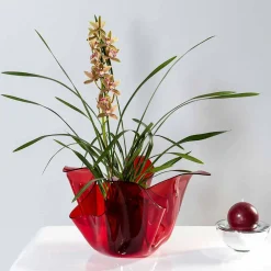 Viadurini Living Deko Vasen-Pina rot Indoor / Outdoor Mehrzweck-Vase, modernes Design in Italien hergestellt