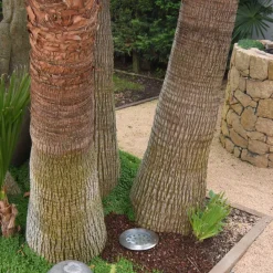 Viadurini Lighting Gartenlampion-Projektor, Rundstrahler mit Außen-LED aus Edelstahl - Dakota