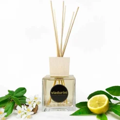 Viadurini Home Fragrance Keep Calm-Raumduft Diffuser Lederduft 500 ml mit Stäbchen - Lavecchiavenezia