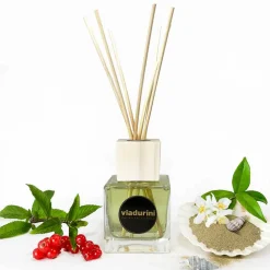 Viadurini Home Fragrance New Energy-Raumduft Vanille und Mou 200 ml mit Stäbchen - Sabbiadelsalento