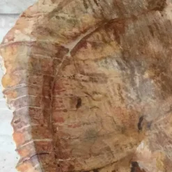 Viadurini Bathroom Steinwaschbecken-Star-Aufsatzwaschbecken aus fossilem Holz, ein einzigartiges Designstück