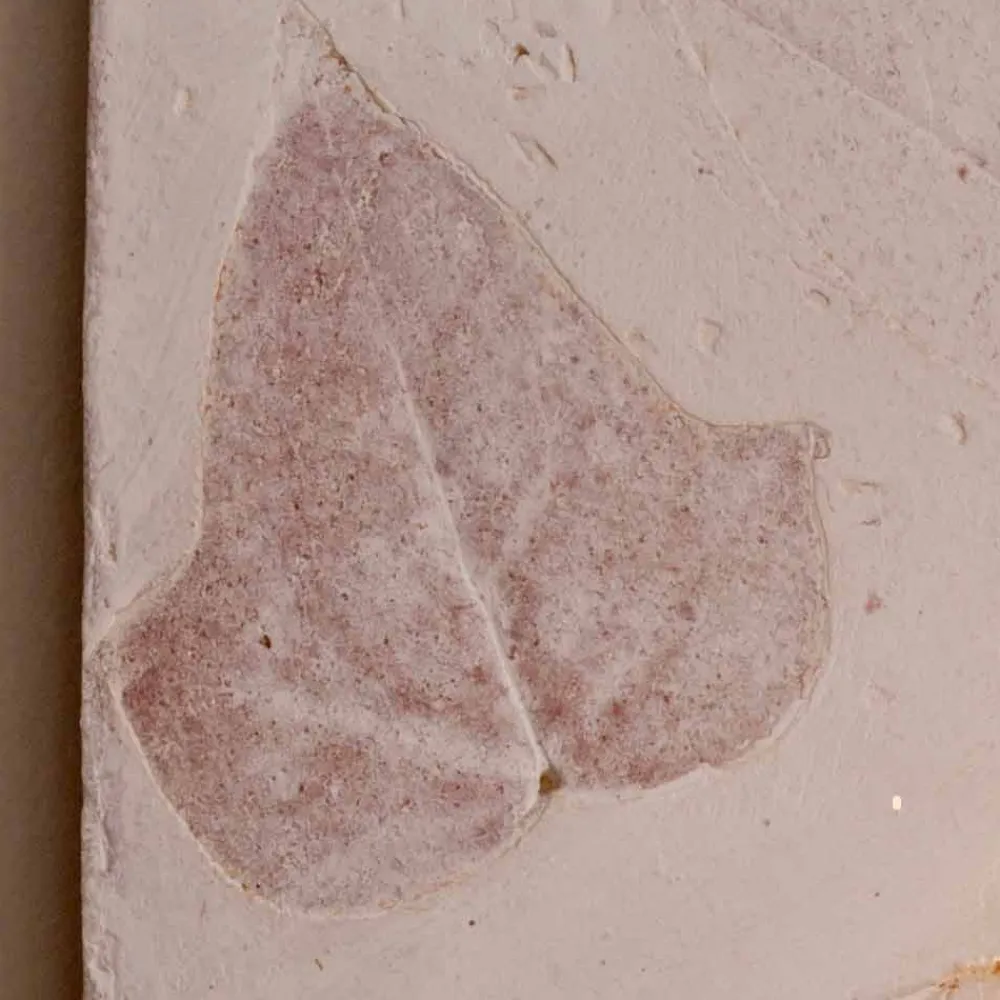 Toscot Klassische Wandleuchten-Vivaldi Wandlampe aus Terrakotta made in Italy