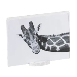 Viadurini Decor Bilderrahmen-Transparenter Acryl-Kristall-Bilderrahmen mit Design-Basis - Rover