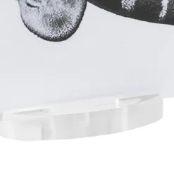 Viadurini Decor Bilderrahmen-Transparenter Acryl-Kristall-Bilderrahmen mit Design-Basis - Rover