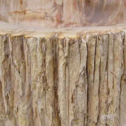 Viadurini Bathroom Steinwaschbecken-Waschbecken Aufsatzwaschbecken aus versteinerten Holz Unikat Goa Design