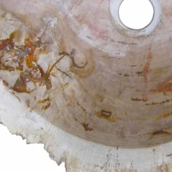 Viadurini Bathroom Steinwaschbecken-Waschbecken Aufsatzwaschbecken aus versteinerten Holz Unikat Goa Design